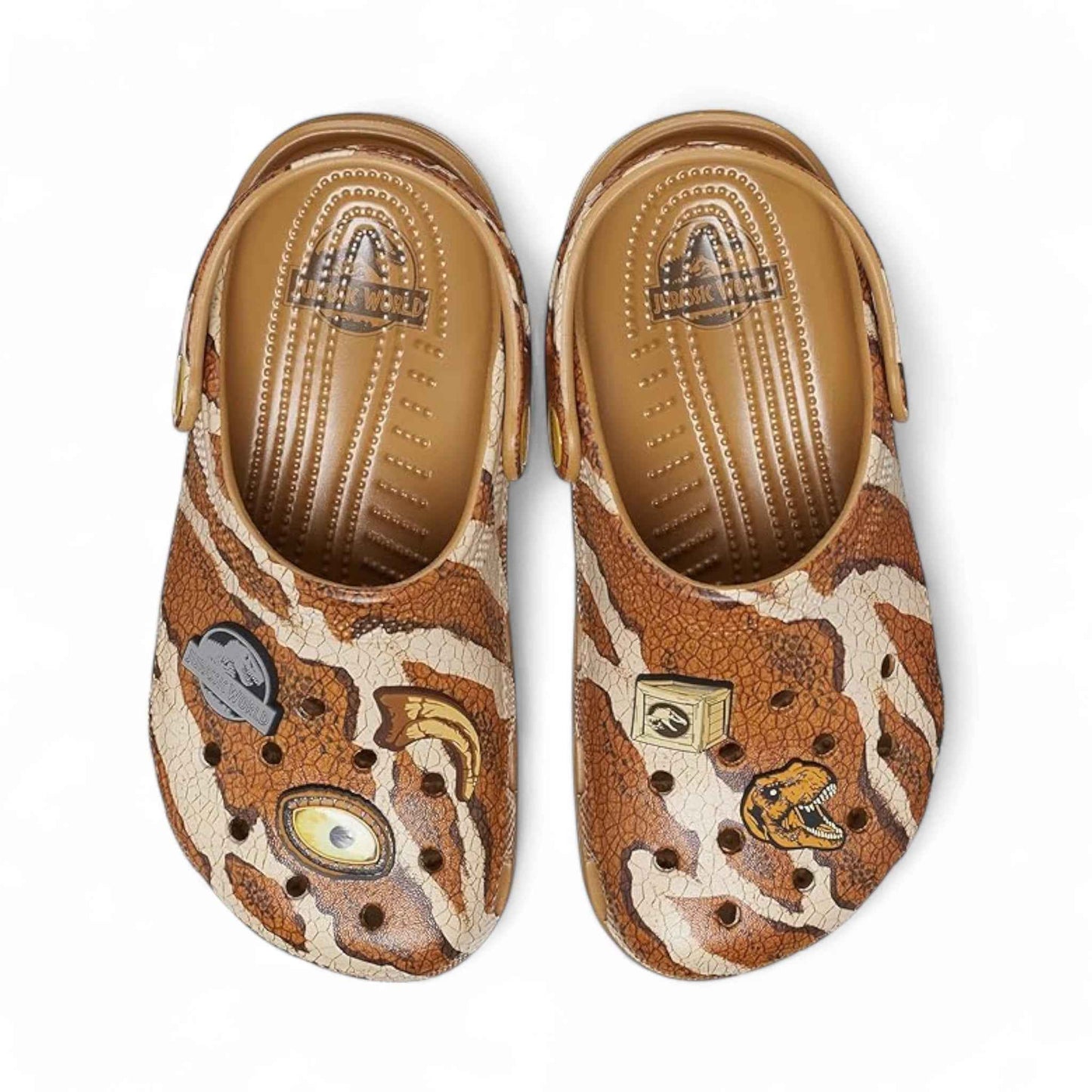 Dinosaur Design Slippers